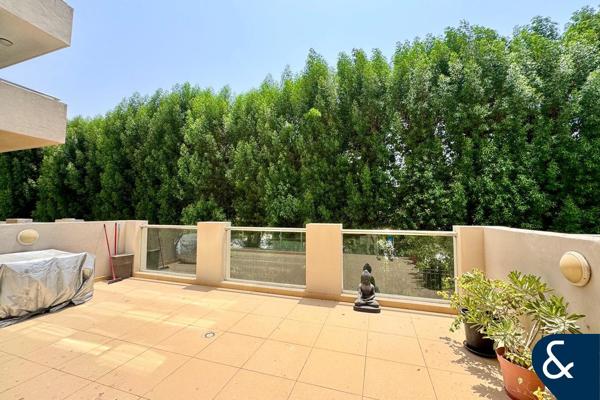 Big Terrace | Notice for January | Rare Unit