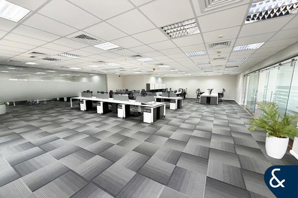 Exclusive | Fitted and Partitioned | Grade A