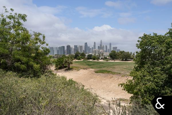 Full Golf + Marina Skyline View - 25,000 SqFt