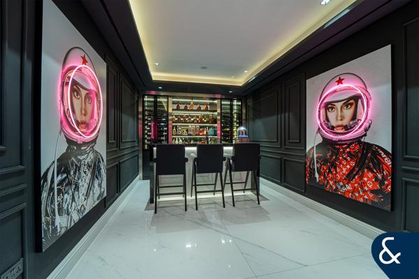 EXCLUSIVE | Huge Basement | Lake View