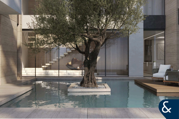 50/50 Payment Plan | Appreciation Potential